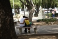 Lovers in Ponce's central Plaza
