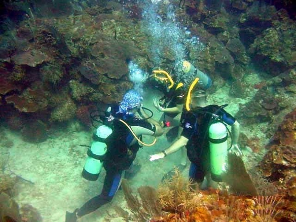 Certification trainiing, courtesy of Sea Ventures