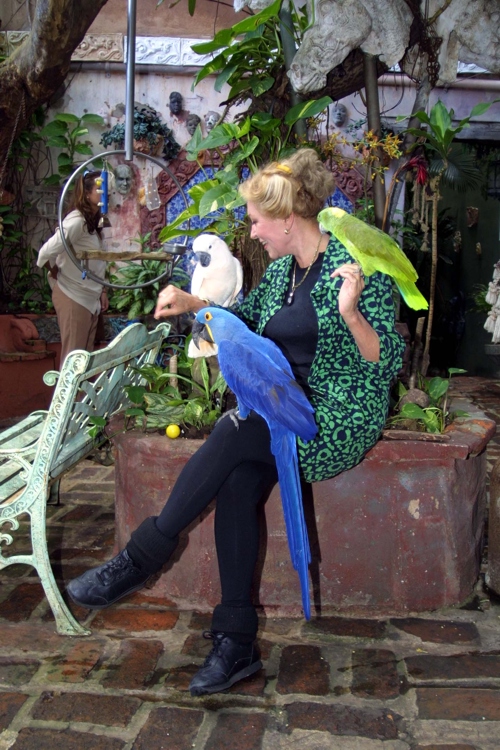 Jan D'Esopo with three of her birds