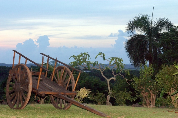 Oxcart on hacienda lawn