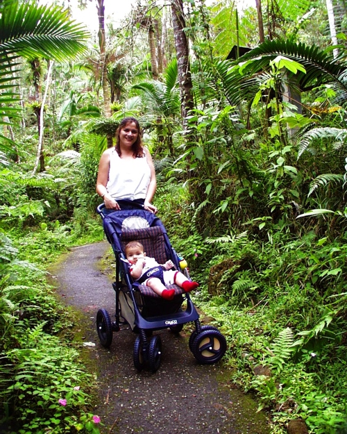 Nature walk along a paved trail