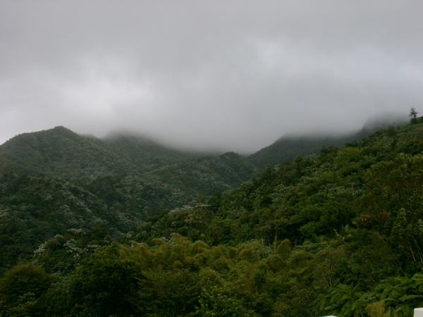 North coast from rainforest