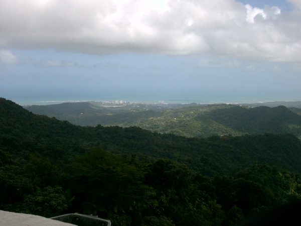 North coast from rainforest