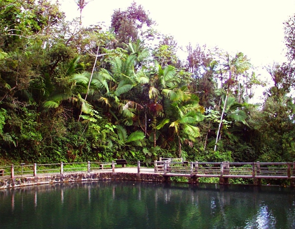 Pool built by Roosevelt's Civilian Conservation
