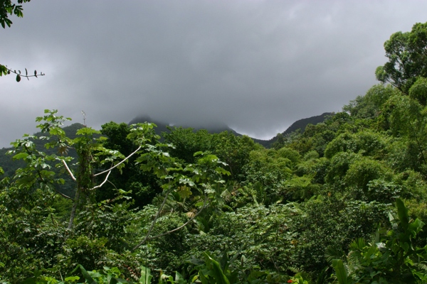 Ready for a little rain?