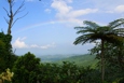 Rainforest valley with rainbow