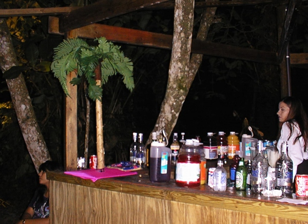 A thatched hut bar awaits you