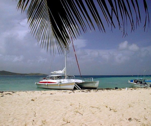 Another typical catamaran
