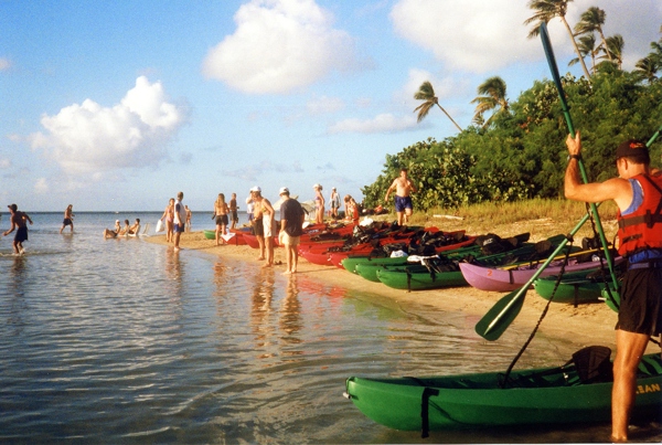 Beautiful afternoon at the rest stop